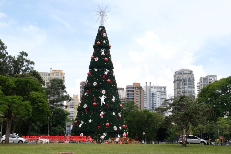 DSCF7017 (Medium).JPG