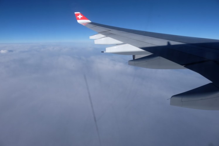 DSCF7138 (Medium).JPG