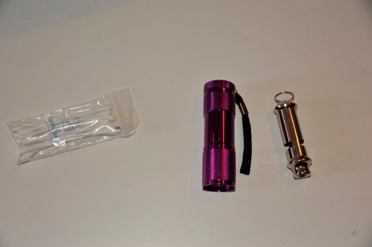 _DSC1339 (Medium).JPG