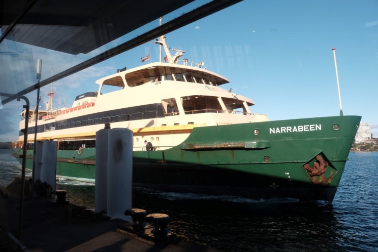 DSCF3668 (Medium).JPG