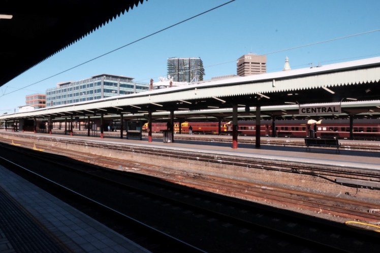 DSCF3687 (Medium).JPG