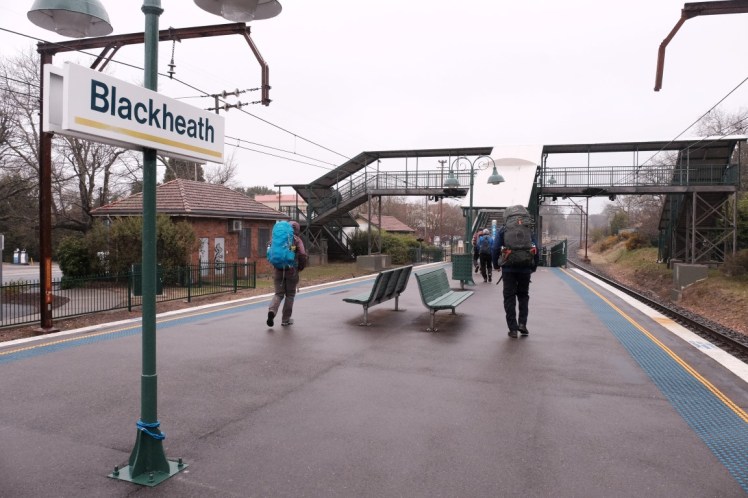 DSCF3695 (Medium).JPG