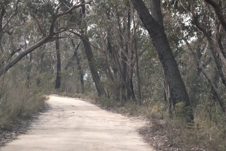 DSCF3698 (Medium).JPG