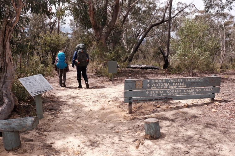 DSCF3699 (Medium).JPG