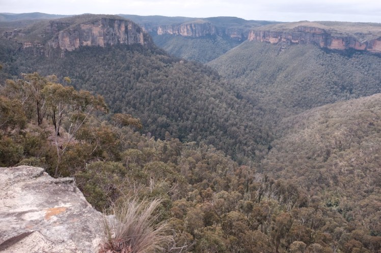 DSCF3703 (Medium).JPG