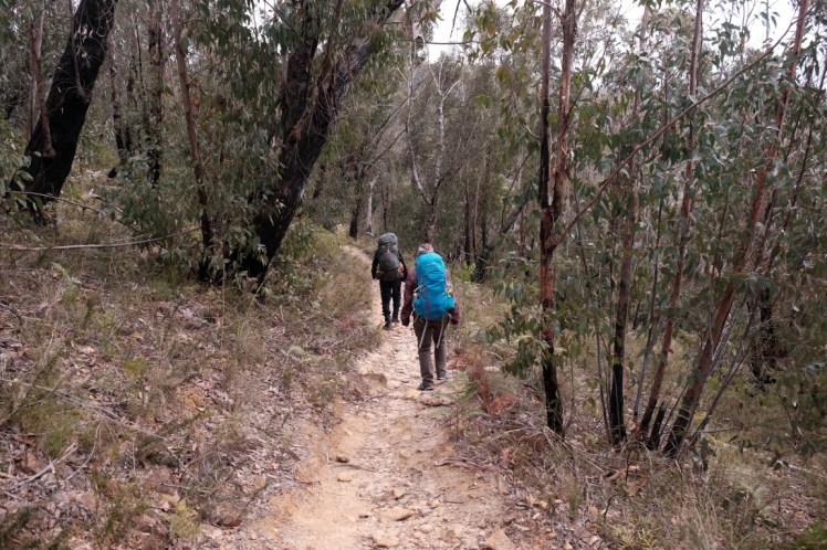 DSCF3712 (Medium).JPG