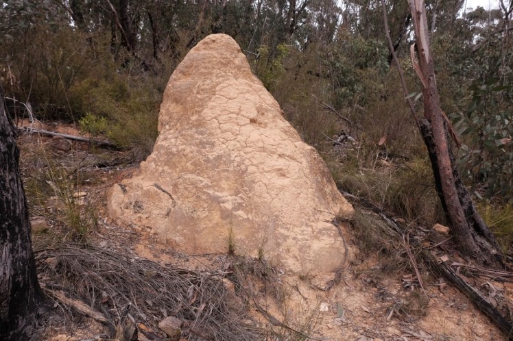 DSCF3713 (Medium).JPG