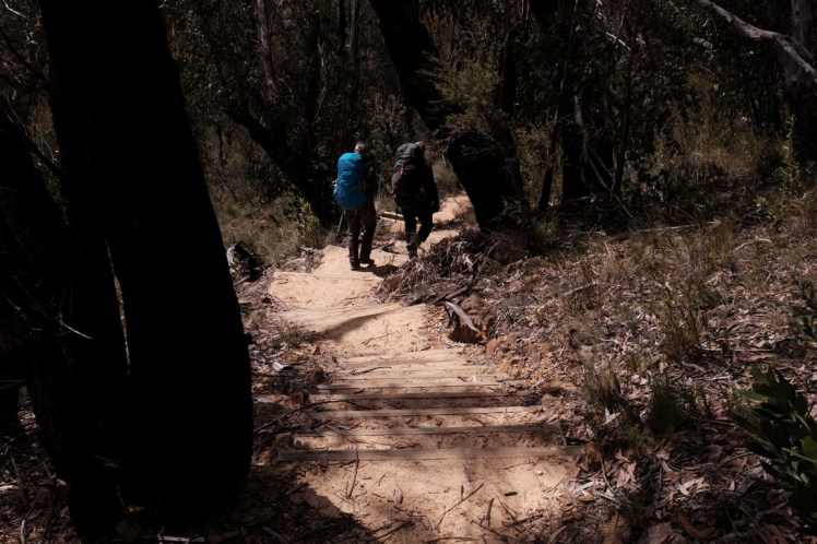 DSCF3716 (Medium).JPG