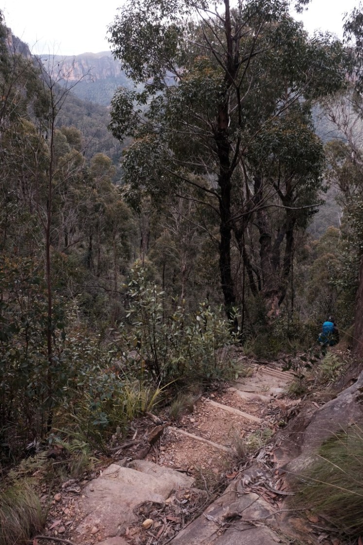 DSCF3720 (Medium).JPG