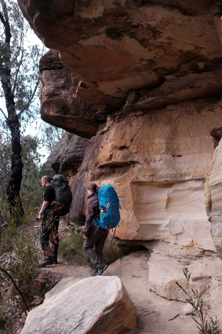 DSCF3722 (Medium).JPG