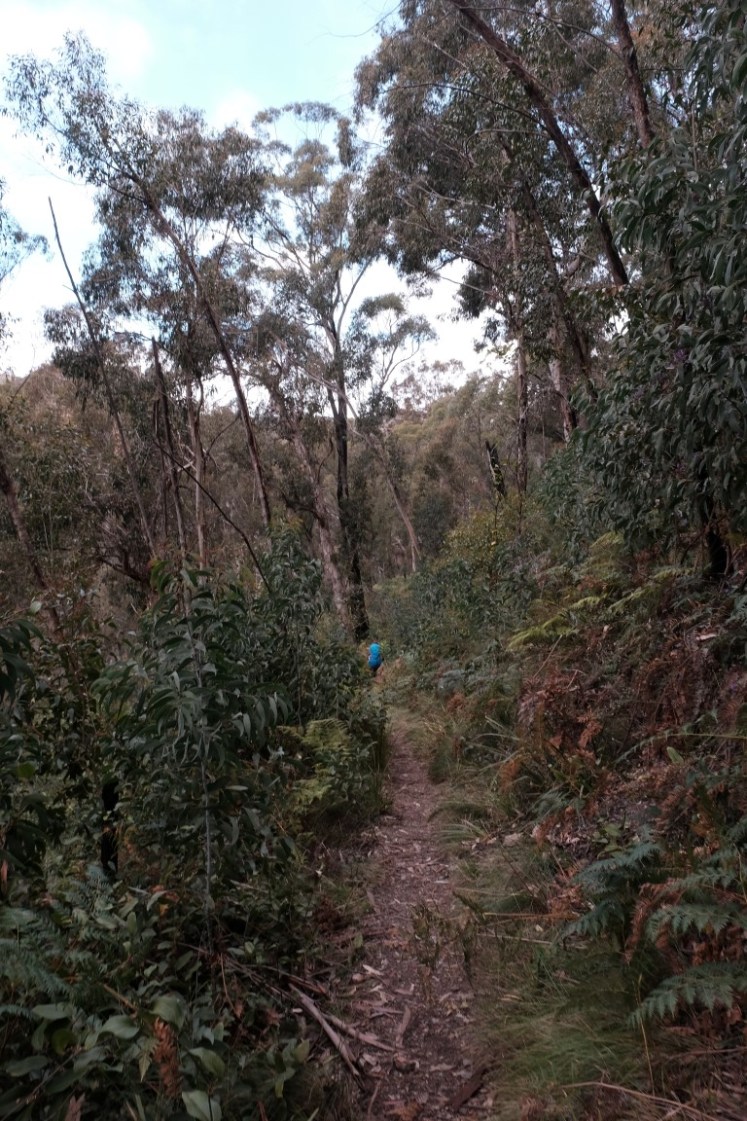 DSCF3726 (Medium).JPG