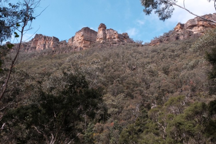 DSCF3742 (Medium).JPG