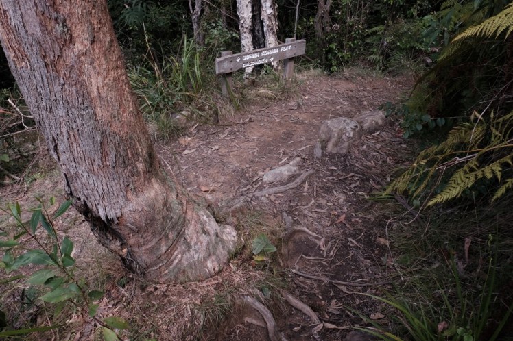 DSCF3744 (Medium).JPG