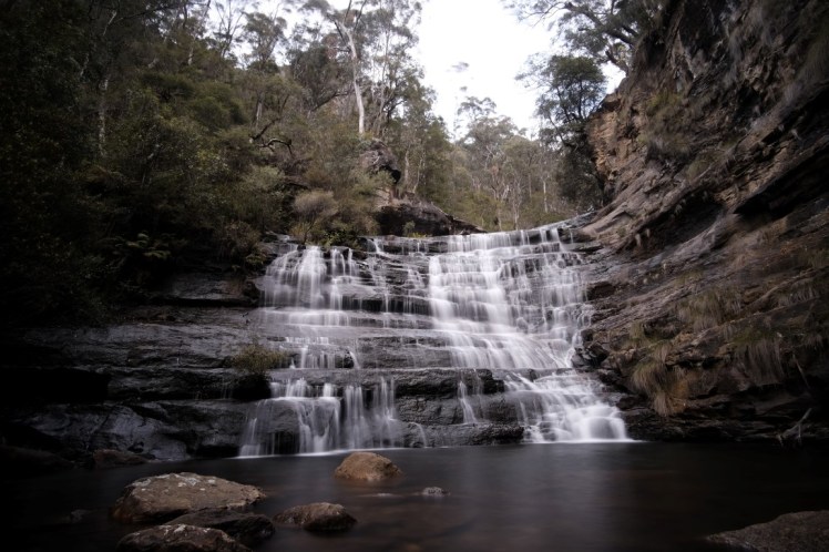 DSCF3761 (Medium).JPG