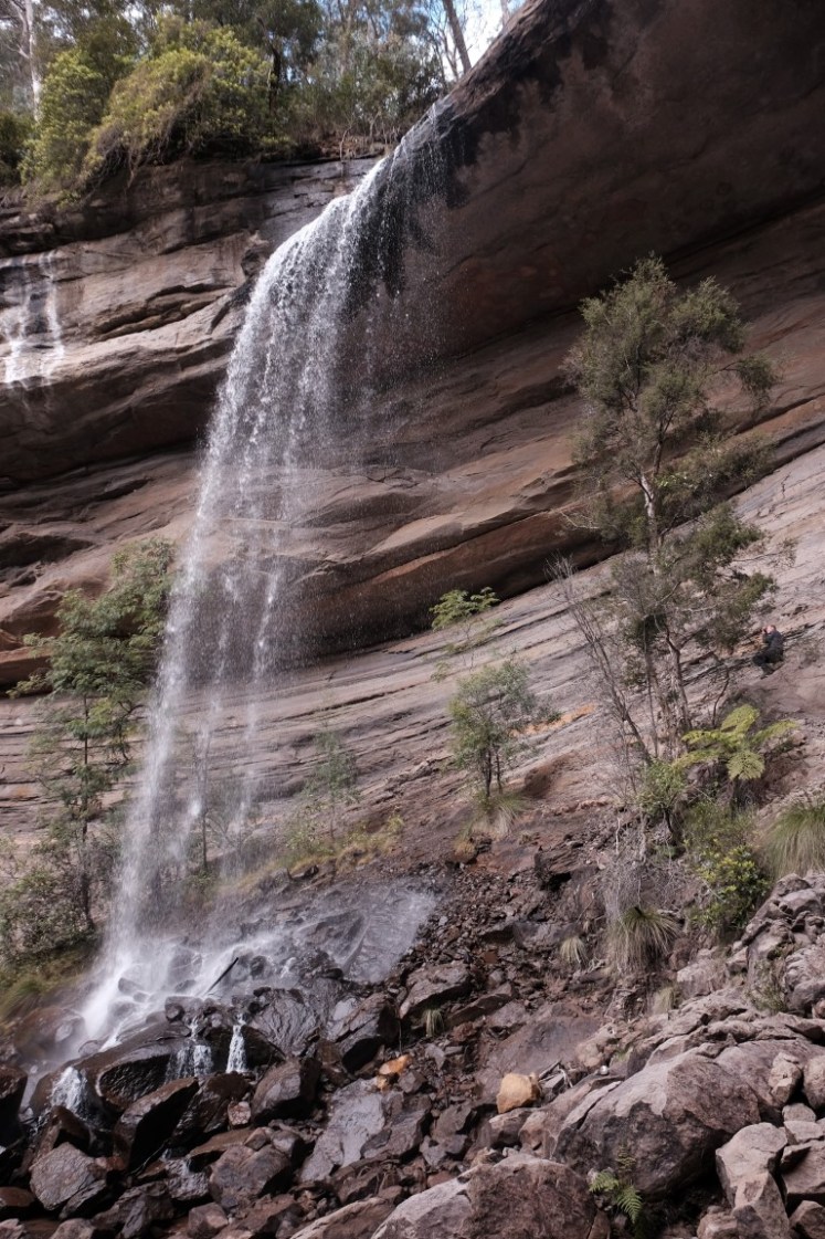 DSCF3774 (Medium).JPG