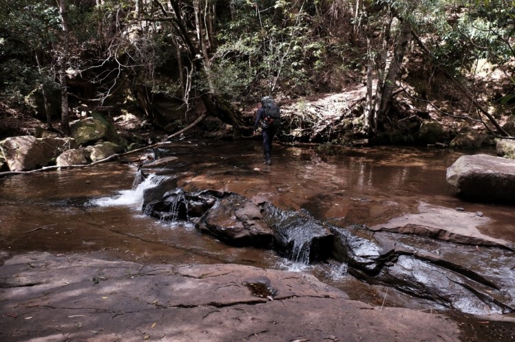 DSCF3789 (Medium).JPG