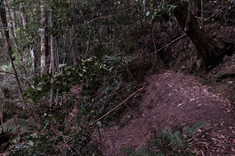 DSCF3804 (Medium).JPG