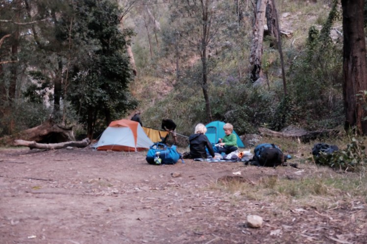 DSCF3830 (Medium).JPG