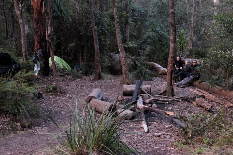 DSCF3833 (Medium).JPG