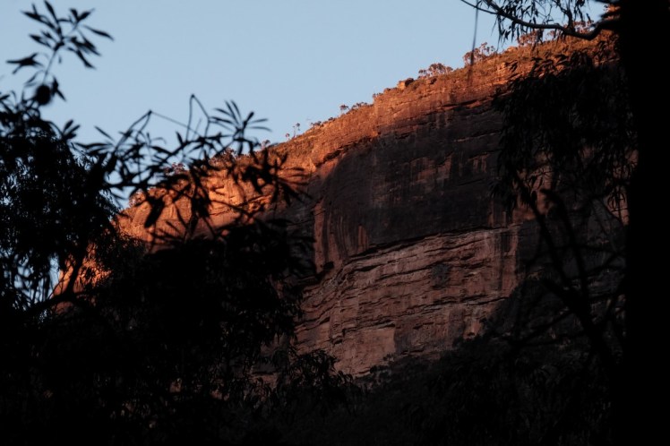 DSCF3840 (Medium).JPG