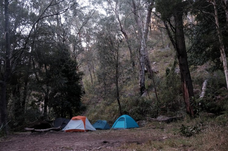 DSCF3890 (Medium).JPG