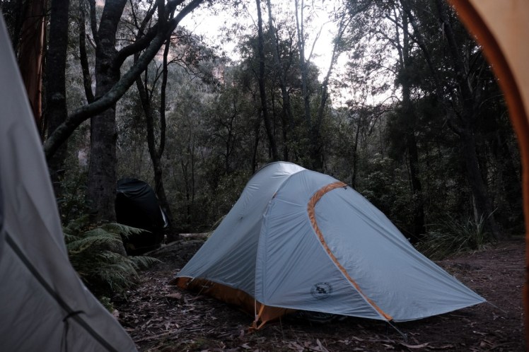 DSCF3892 (Medium).JPG