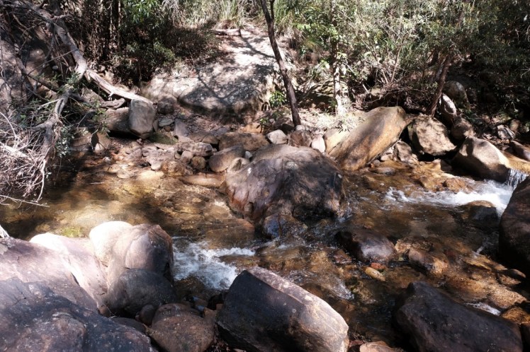 DSCF3899 (Medium).JPG