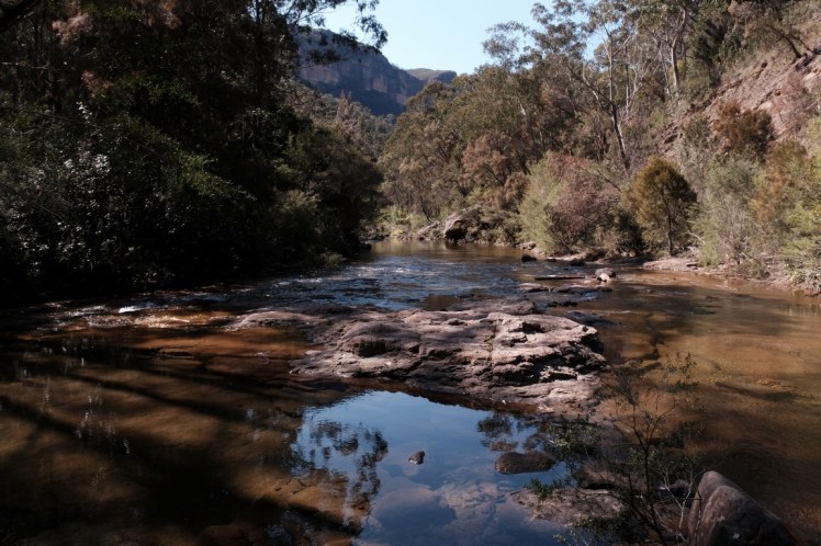 DSCF3906 (Medium).JPG