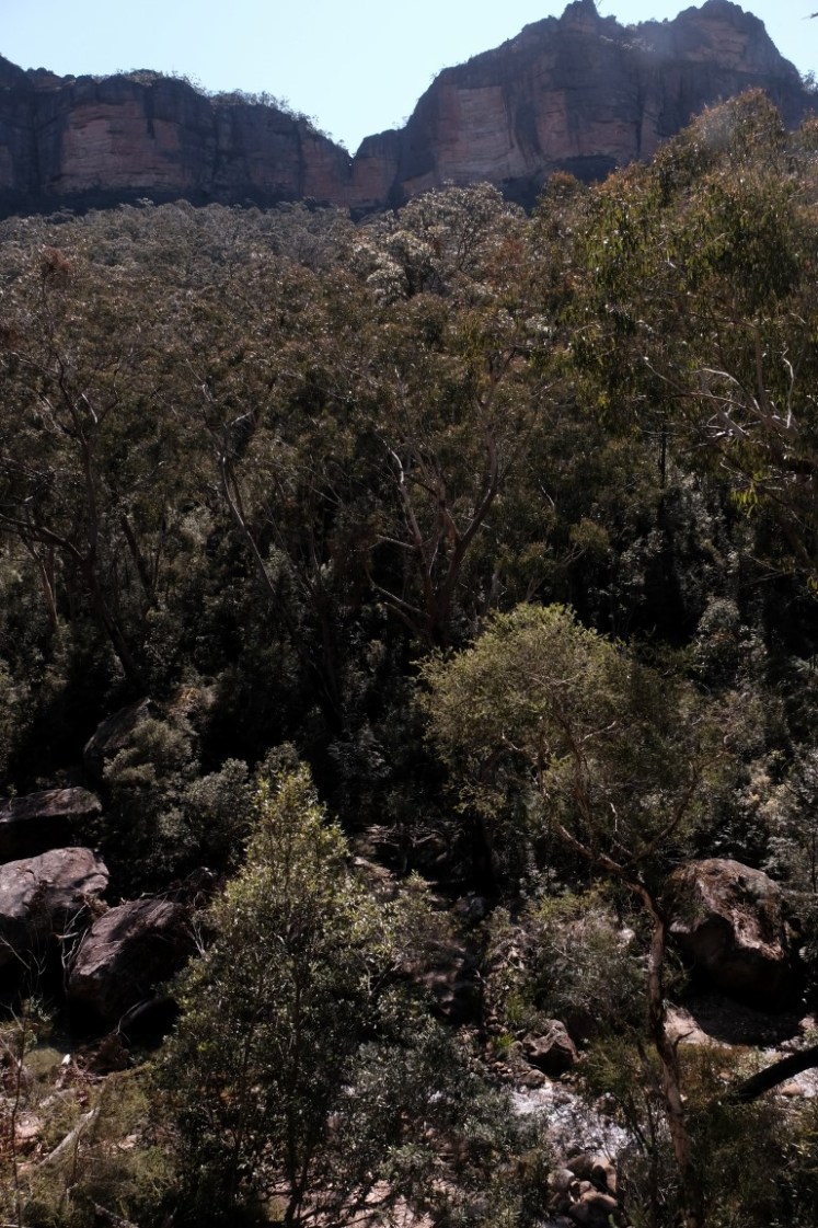 DSCF3917 (Medium).JPG