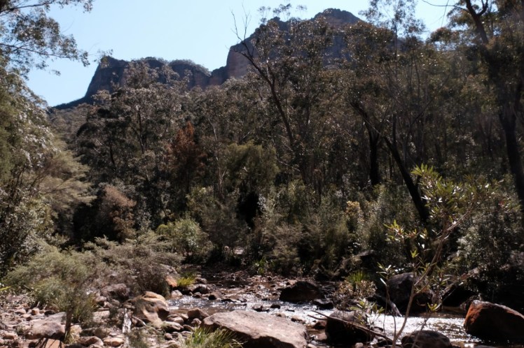 DSCF3920 (Medium).JPG