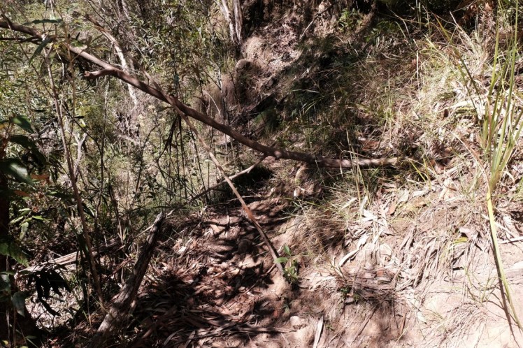 DSCF3923 (Medium).JPG