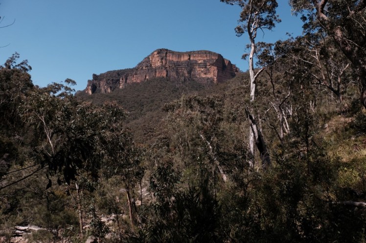 DSCF3943 (Medium).JPG