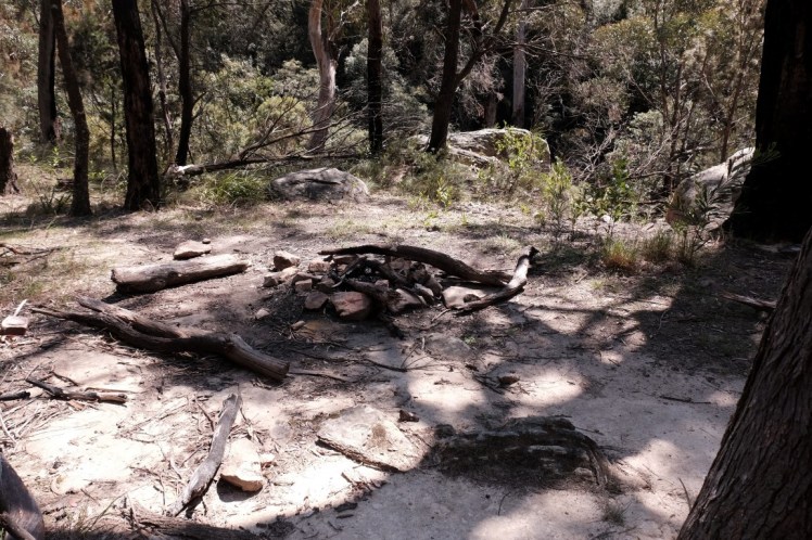 DSCF3967 (Medium).JPG