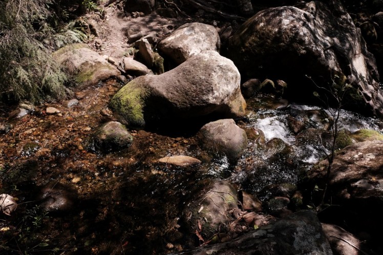 DSCF3973 (Medium).JPG