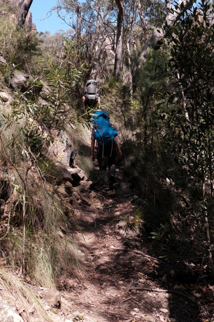 DSCF3974 (Medium).JPG