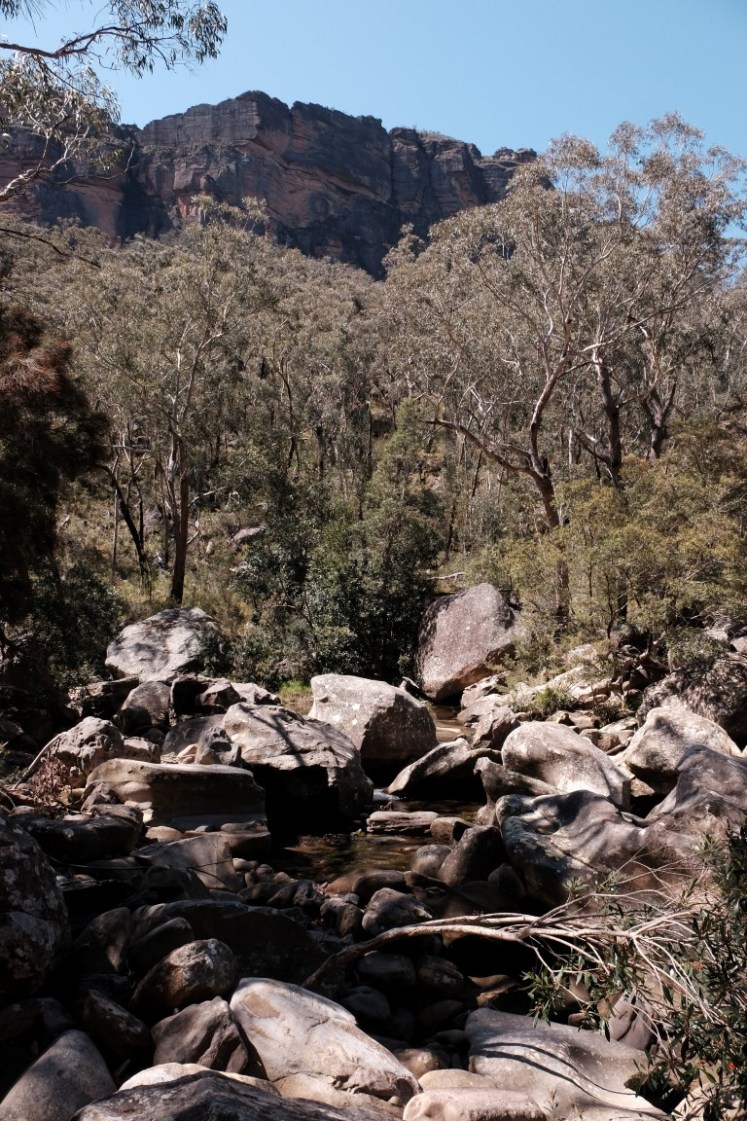 DSCF4003 (Medium).JPG