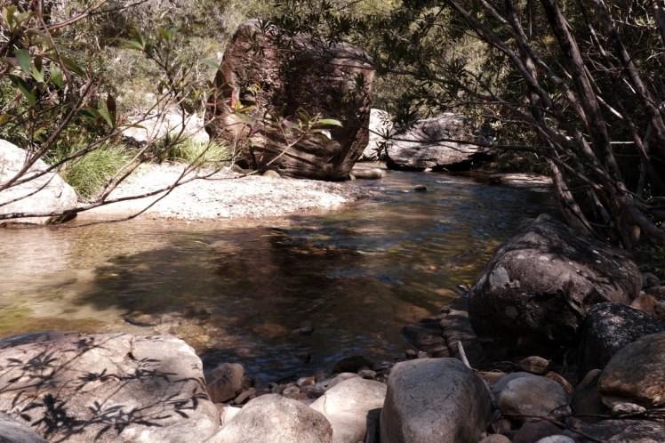 DSCF4007 (Medium).JPG