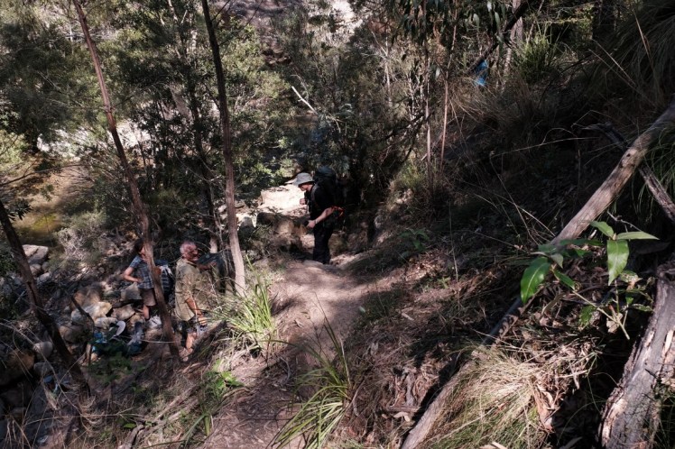 DSCF4010 (Medium).JPG