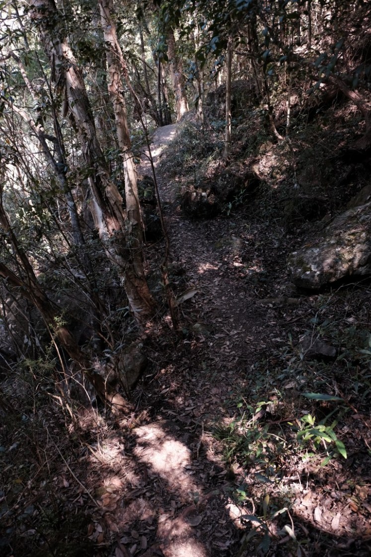 DSCF4011 (Medium).JPG