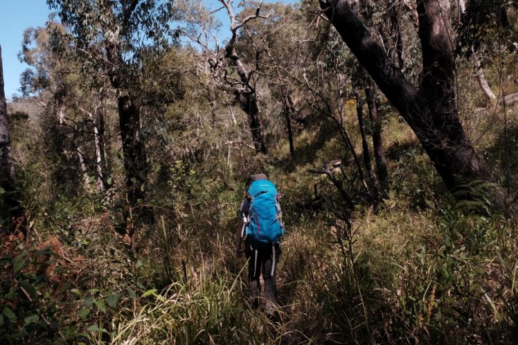 DSCF4019 (Medium).JPG