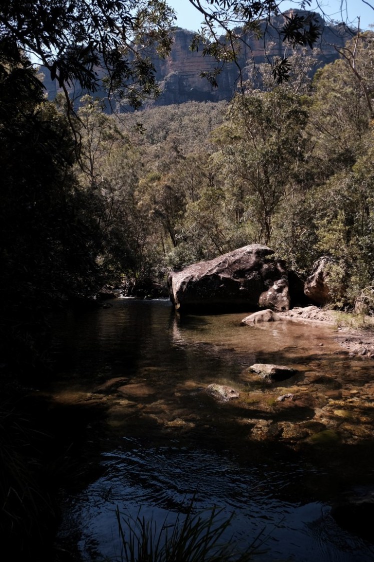 DSCF4027 (Medium).JPG