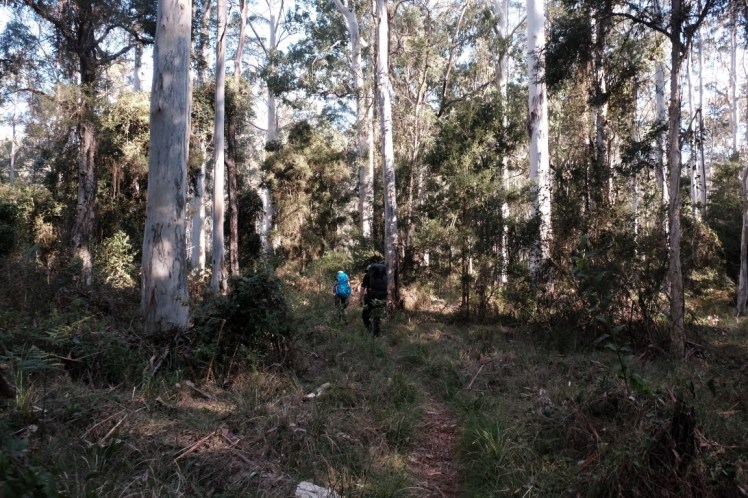 DSCF4065 (Medium).JPG