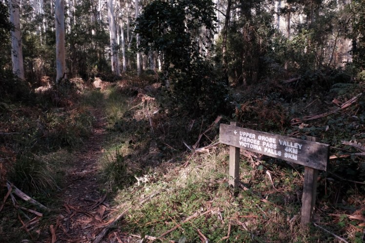 DSCF4066 (Medium).JPG