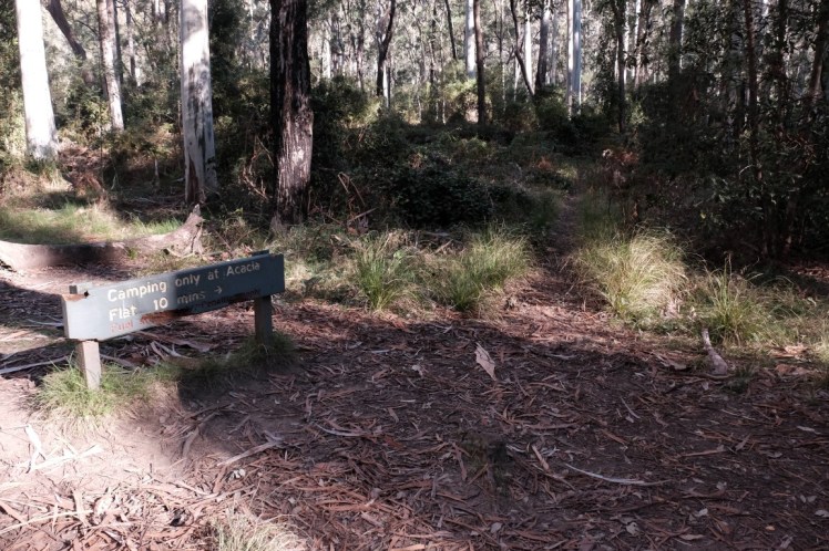 DSCF4067 (Medium).JPG