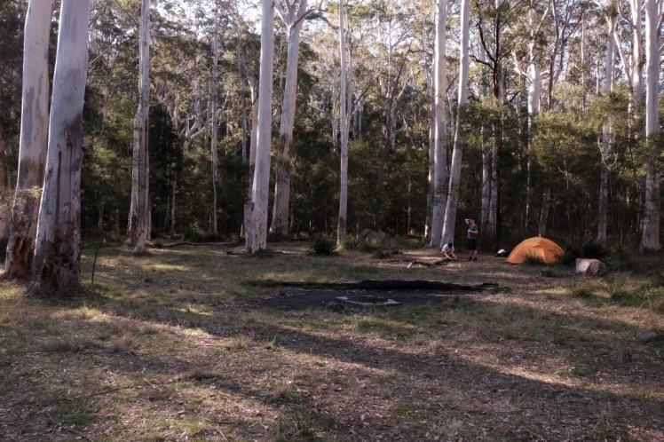 DSCF4078 (Medium).JPG