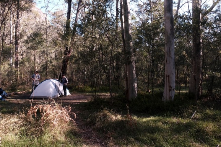 DSCF4079 (Medium).JPG