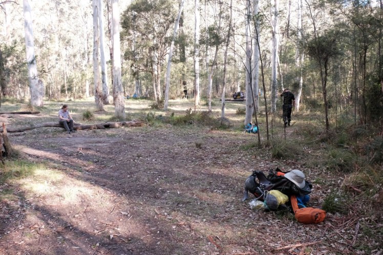 DSCF4081 (Medium).JPG