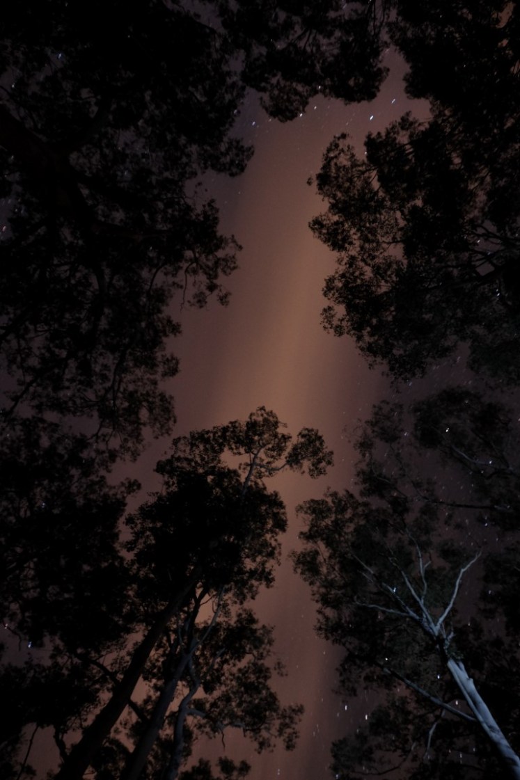 DSCF4092 (Medium).JPG