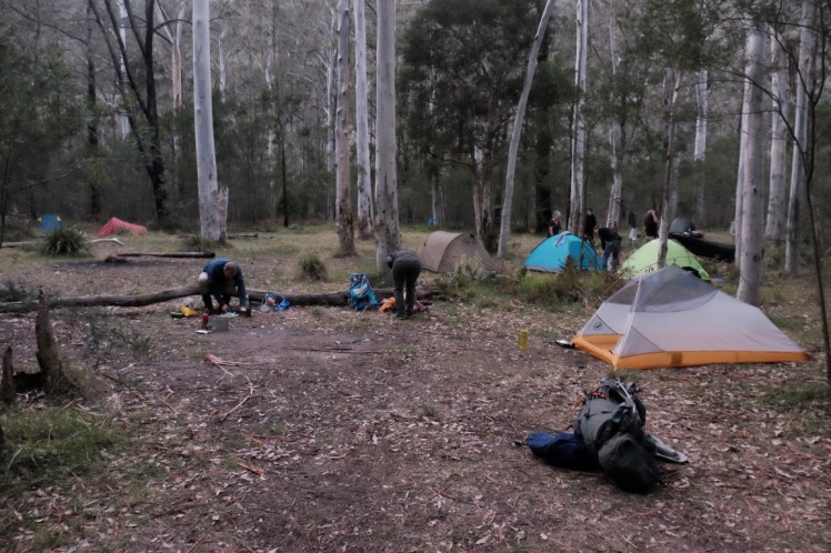 DSCF4097 (Medium).JPG