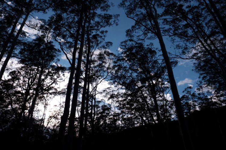 DSCF4098 (Medium).JPG